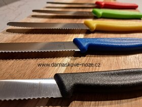 Kuchyňský nůž - Brötchenmesser - 03BO002

 - 2