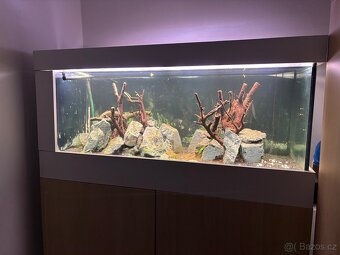 300L Akvárium, s plným vybavením - 2
