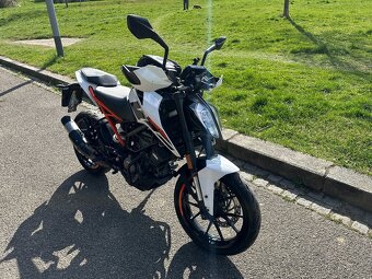 KTM Duke 125 r.v. 2020 - 2