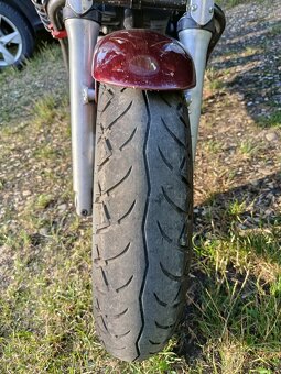 Yamaha Bulldog 1100 - 2