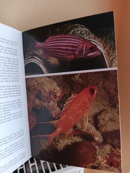 Knaurs Tierreich in Farben r.79 - 2