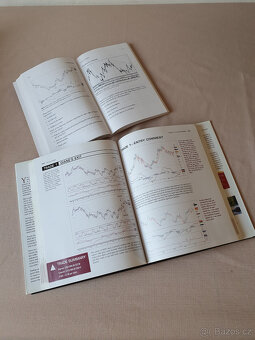 Kniha "Entries and Exits - Visits to 16 Trading Rooms" Ale - 2