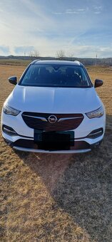 Grandland X - 2