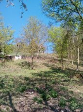Prodej pozemku - 2