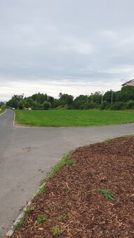 Pronajmu pozemky na rekreaci a rybaření. - 2