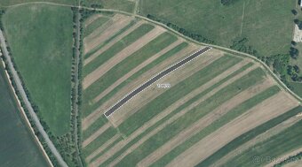 Zemědělská půda, prodej, Velká nad Veličkou, Hodonín - 2