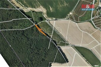 Prodej lesa, 892 m², Myslív u Všerub - 2