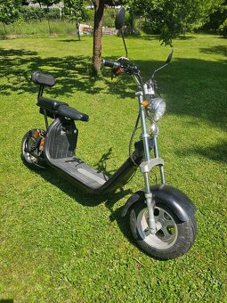 Elektrochopper 2000W - 2