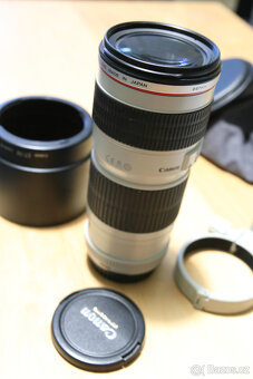 Canon EF 70-200 F/4 L USM - 2