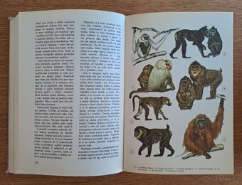 Veselovský, Hanzák - Světem zvířat (komplet) - 2