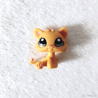 LPS Littlest Pet Shop - Koťátko #1053 s doplňkem - 2