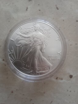 Stříbrná mince - 2