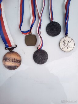 Medaile a pohár - 2