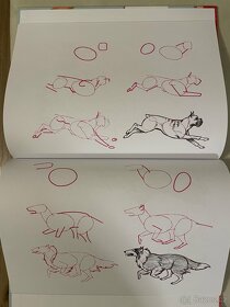 Kniha Nakresli 50 psů - 2