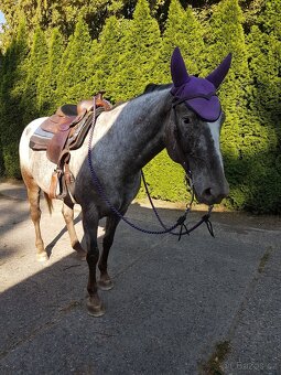 Docházka/pronájem - 2