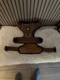 Obojek na buldoka viz foto - 2