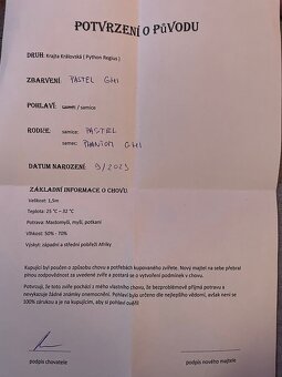 Krajta Královská - 2