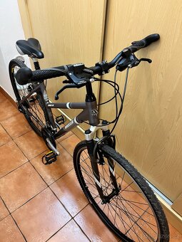 Wheeler Cross 36(TOP STAV) - 2