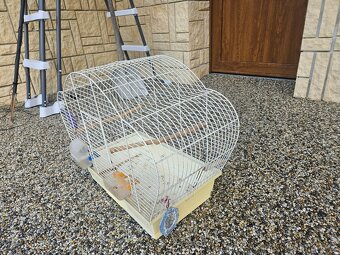 Klec pro papouška - 2