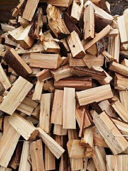 Palivové dřevo sleva - 2