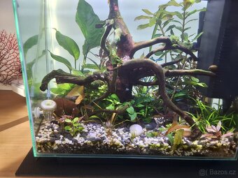 Prodám kompletní moderní set akvarium. - 2