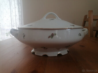 Terina MZ Stará Role - 2