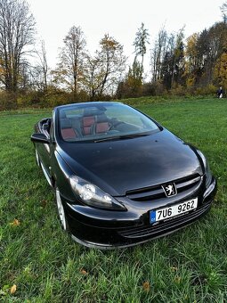 Peugeot 307cc - 2