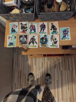 NHL KARTIČKY 95/96 - 2