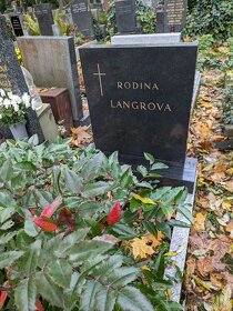 Olšanské hřb-centrální část,urnový hrob RODINA LANGROVA - 2