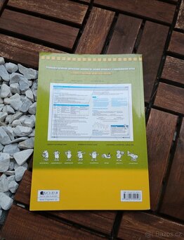 Český jazyk v kostce - 2