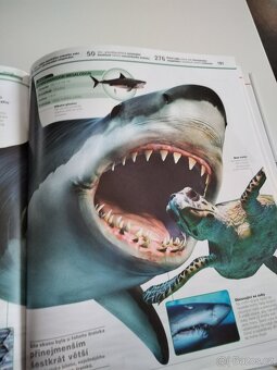 Dinosauři v kostce - 2