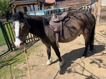 Barefoot sedlo pony - 2