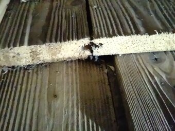 Prkna obkladová design - 2