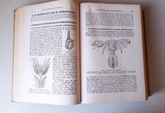 Domácí lékař r. 1938 - 2