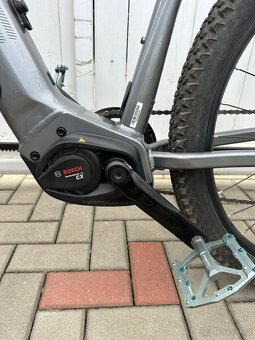 Pells Thorr Advanced EVO 2023 - 2