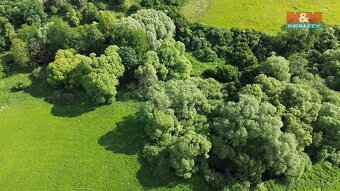 Prodej pastviny, 13461 m², Spálené Poříčí - 2