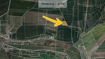 Prodej pole v k.ú. Neuměřice - 2