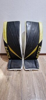 CCM Axis f9 34+1 + CCM Eflex 6.9 rukavice (intermediate) - 2