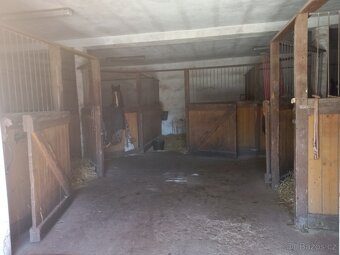 Hledám stajnika - 2