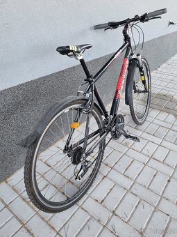 Favorit Dynamic SX 28" - 2