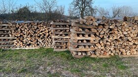 Palivové dřevo buk - 2