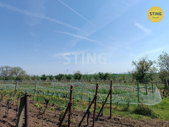 Prodej pozemku - vinice, 1110 m2, Hrušky, 132327 - 2