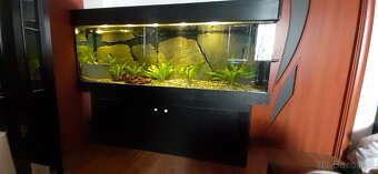 Akvarium 430 l - 2