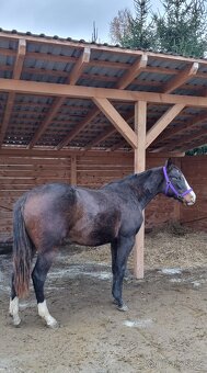 All around paint klisna - 2