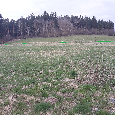 Stavební pozemek 4086 m2, Mýto u Tachova - 2