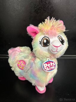 Tančící lama Pets Alive Zuru - 2