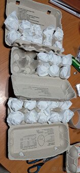 Hedvábnička USA světlý a tmavý kmen vejce - 2