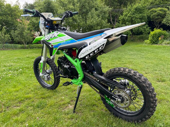 PitBike MiniRocket 125 proactiv 2024 - 2