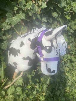 Hobby horse - 2