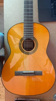 Klasika Takamine G1 - 2
